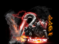 ibins.com
