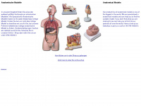 anatomischemodelle.de Webseite Vorschau