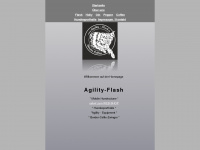 Agility-flash.de