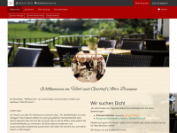 alterbrunnen.net Webseite Vorschau