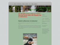 amberland-wetter.de Webseite Vorschau