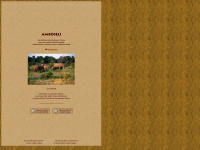 Amboseli.de