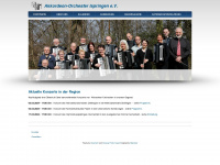 akkordeon-orchester-ispringen.de Webseite Vorschau