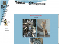 amerikanische-waldkatzen.de Webseite Vorschau