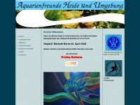 aquarienfreunde-heide.de