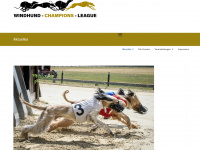 windhund-champions-league.de Webseite Vorschau
