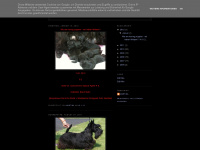 arabellas-scottish-terrier.blogspot.com