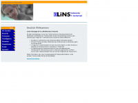 lins-networks.de Webseite Vorschau