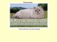 overlandcats.de Webseite Vorschau