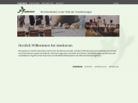 assekurum.de Webseite Vorschau