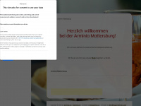 arminia.cc Webseite Vorschau