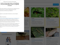 insekten-kleinanzeigen.net Webseite Vorschau