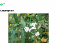 azeotrope.de Webseite Vorschau
