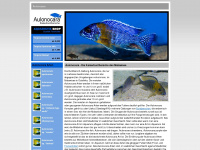 aulonocara.net Webseite Vorschau