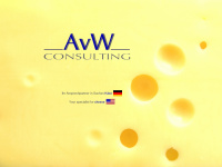 avw-consulting.com