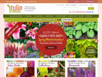 tulipworld.com Webseite Vorschau