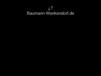 baumann-wankendorf.de Thumbnail