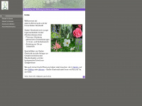 b-pflanzung.de Webseite Vorschau