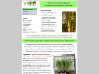 bambus-dreieich.de Webseite Vorschau