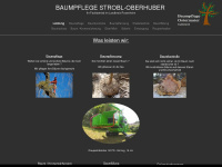baumpflege-rosenheim.de Thumbnail