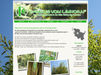 bambus-schleswig-holstein.de Webseite Vorschau