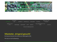 baumschule-hummel.com Webseite Vorschau