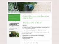 baumschulemueller-brueck.de Webseite Vorschau