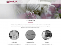baur-naturstein.de Webseite Vorschau
