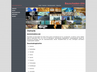 bauschaden-ulm.de Webseite Vorschau