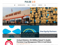 pulse2.com Webseite Vorschau