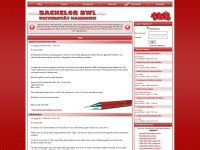 bachelor-vwl.de Webseite Vorschau