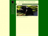 baron-blacky.de Webseite Vorschau
