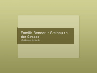 Bender-steinau.de