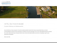 solthus.de Webseite Vorschau