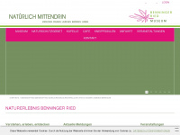 benninger-ried.de Webseite Vorschau