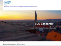 bds-landshut.de Webseite Vorschau