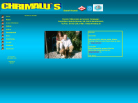 bassets-mann.de Webseite Vorschau