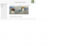 beagle-arle.de Webseite Vorschau
