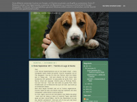 beagle-bob.blogspot.com Webseite Vorschau