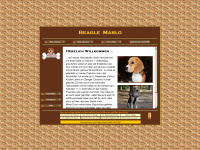beagle-marlo.de Webseite Vorschau