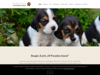 beagle-welpen-bayern.de Webseite Vorschau