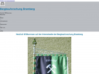 bergbauforschung-bramberg.com Webseite Vorschau