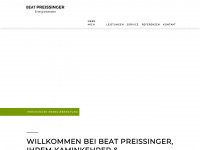 beatpreissinger.de Thumbnail