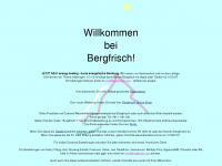 bergfrisch.com Webseite Vorschau