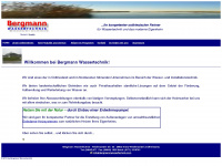 bergmannwassertechnik.com Webseite Vorschau
