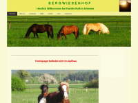 bergwiesenhof.de Webseite Vorschau