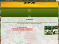 bauer-greif.de Webseite Vorschau