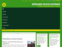 gruene-nv.de Thumbnail