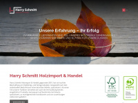 hs-holzimport.de Webseite Vorschau