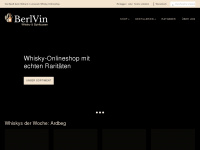 berlvin.com Webseite Vorschau